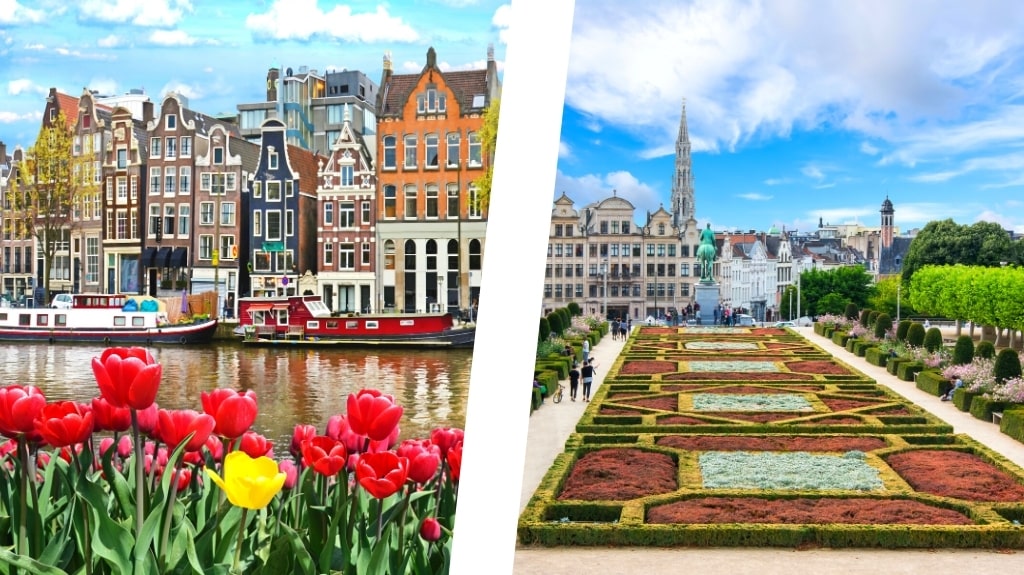 Brussels or Amsterdam