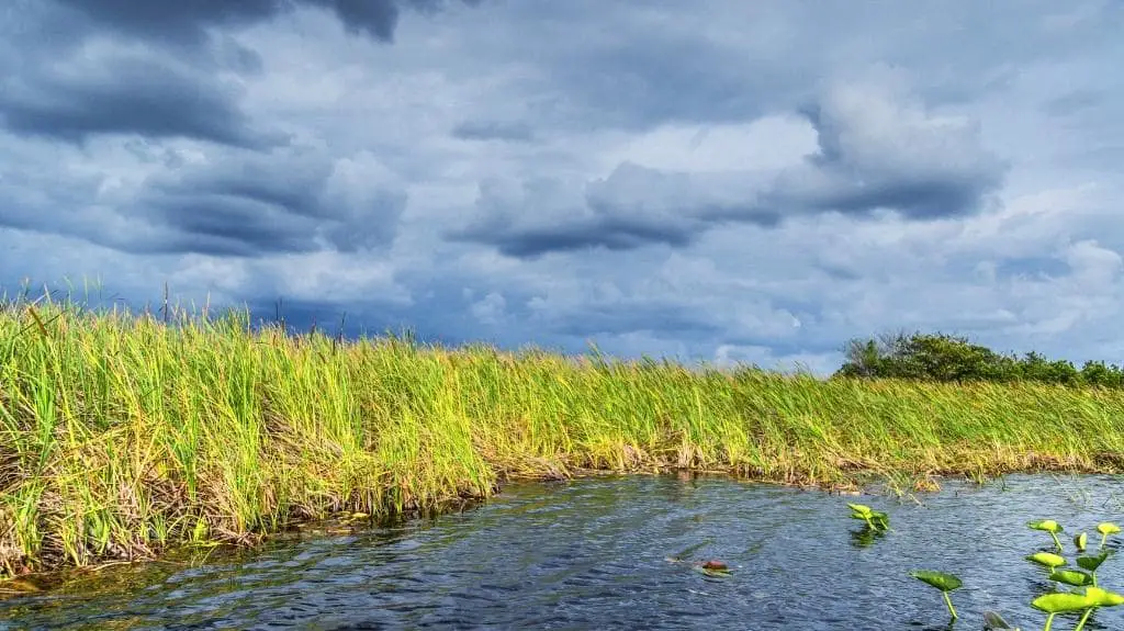 Clouds over Everglades National Park