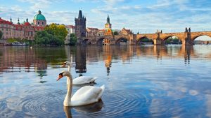 Read more about the article Day Trip from Vienna to Prague: Best Tours, Car & Train Info