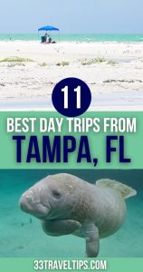 Day Trips from Tampa Pin 3