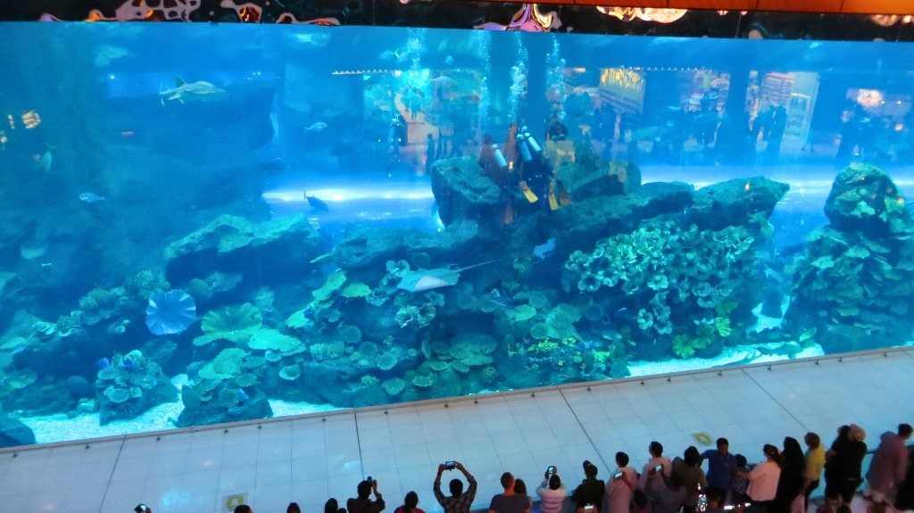 Dubai Aquarium and Underwater Zoo Divers