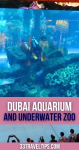 Dubai Aquarium and Underwater Zoo Pin 1