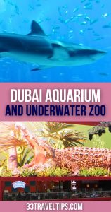 Dubai Aquarium and Underwater Zoo Pin 2