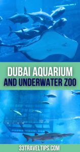 Dubai Aquarium and Underwater Zoo Pin 3