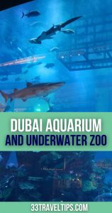 Dubai Aquarium and Underwater Zoo Pin 4