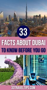Dubai Facts Pin 5