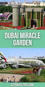 Dubai Miracle Garden Pin 3