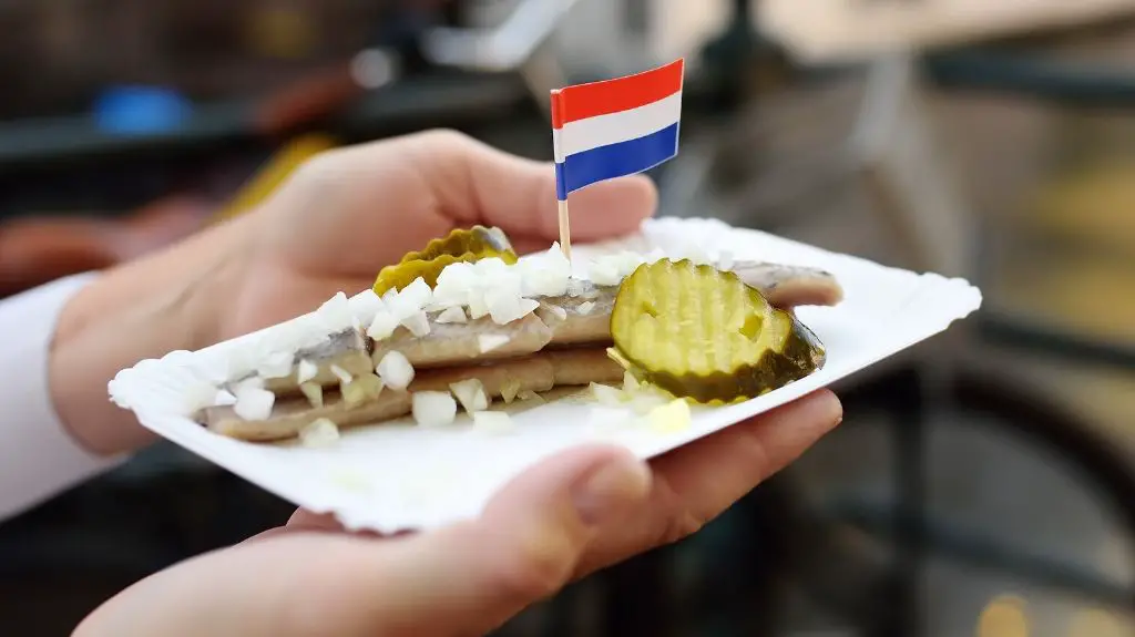 Dutch New Herring