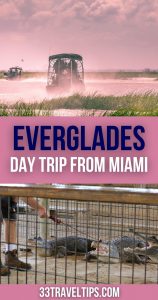 Everglades Day Trip from Miami Pin 1