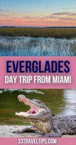 Everglades Day Trip from Miami Pin 2