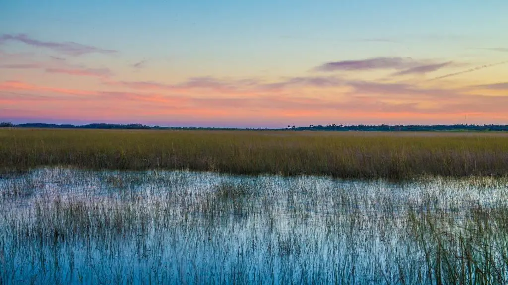 Everglades National Park at Dusk