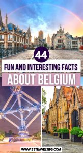Facts About Belgium Pin 2