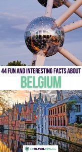 Facts About Belgium Pin 3
