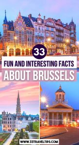Facts About Brussels Pin 3