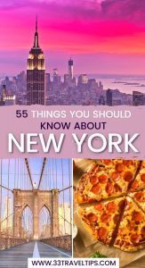 Facts About New York Pin 1