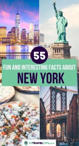 Facts About New York Pin 2