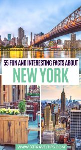 Facts About New York Pin 3