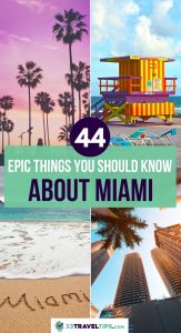 Facts about Miami Pin 2
