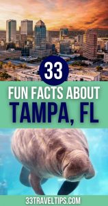 Facts about Tampa Pin 3