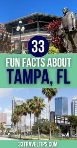 Facts about Tampa Pin 4