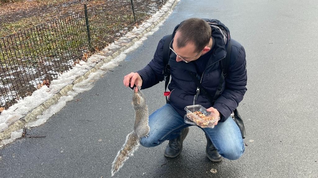 Feeding Squirrels in Central Park New York