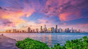 Free Things to Do in Miami Header