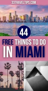 Free Things to Do in Miami Pin 1