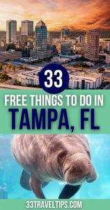 Free Things to Do in Tampa Pin 3