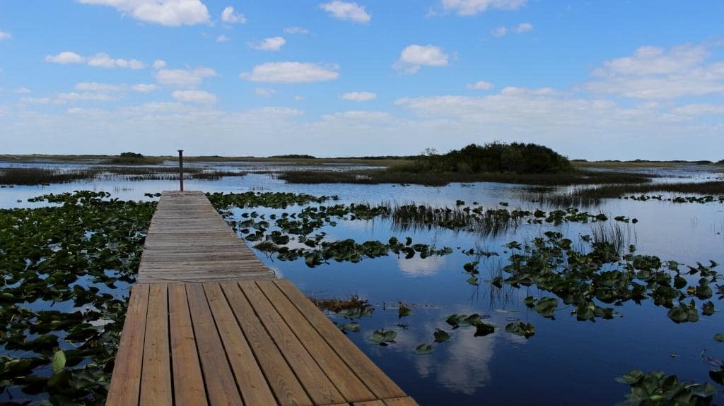 Gulf Coast Visitor Center Everglades