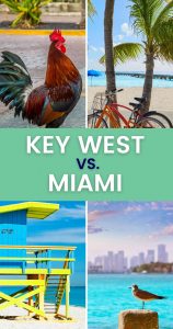 Key West or Miami Pin 4