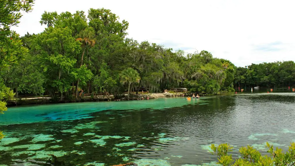 Ocala National Forest Florida