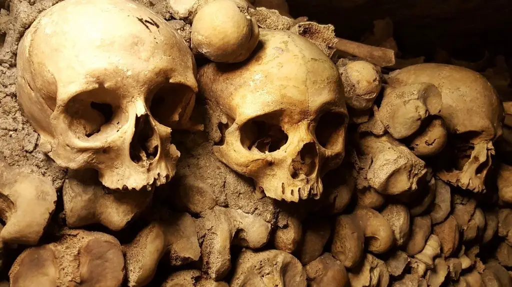 Paris Catacombs