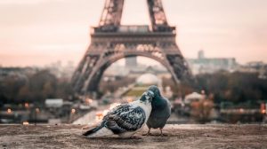 Read more about the article 44 Paris Travel Tips – Top Hacks for Your French Adventure