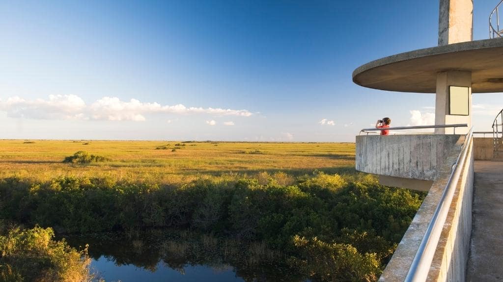 Shark Valley Observation Tower Everglades