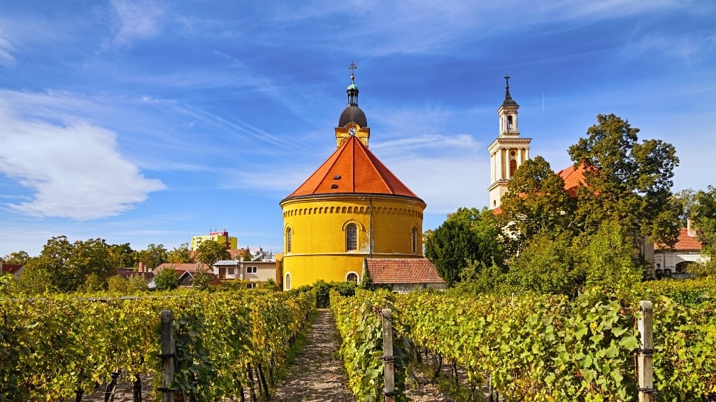 Small Carpathian Wine Route