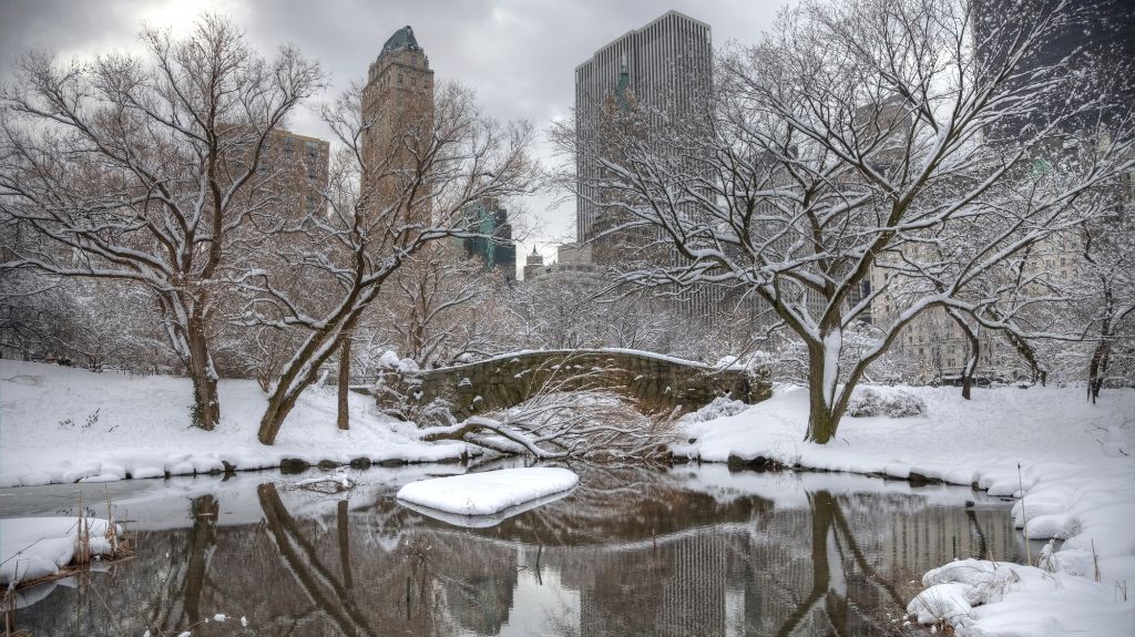 Picturesque snow picture in Central Park.
