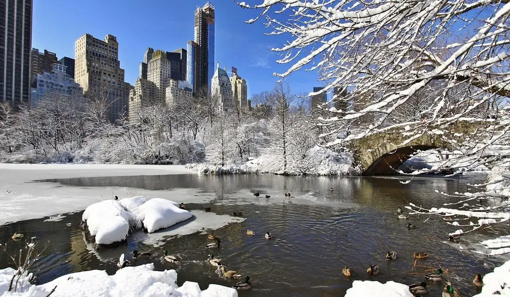 Snowy New York