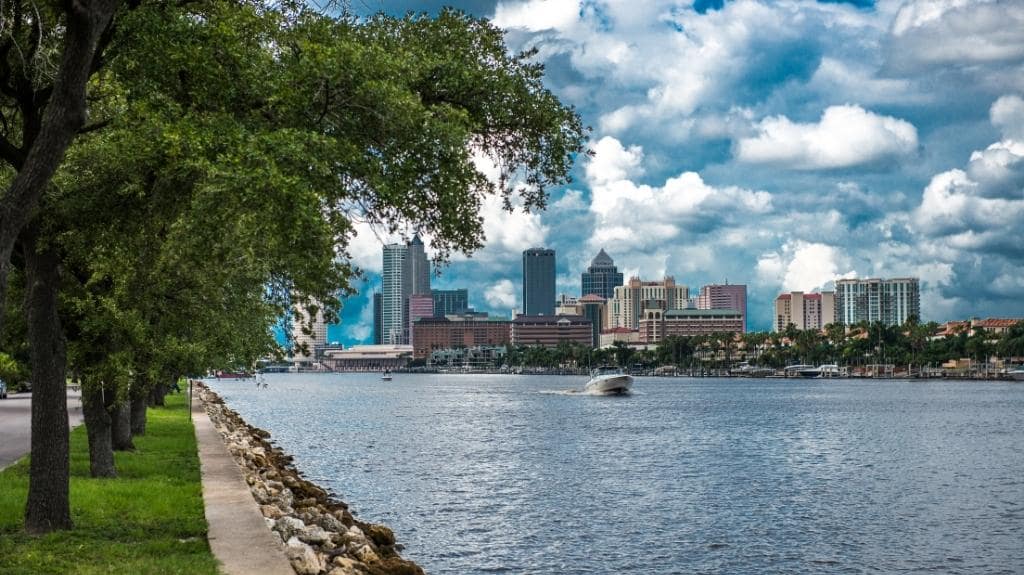Tampa Waterfront and Skyline