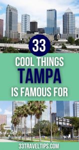 What Is Tampa Famous for Pin 4