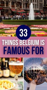 What is Belgium Known for Pin 5