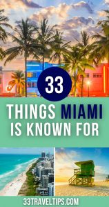 What is Miami Famous For Pin 2