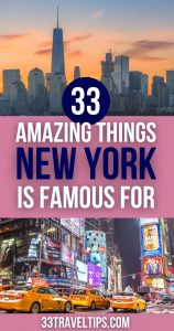 What is New York Famous For Pin 3