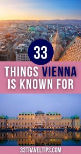 What is Vienna Famous for pin 3