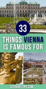 What is Vienna Famous for pin 4