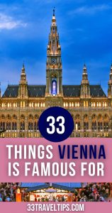What is Vienna Known for pin 1