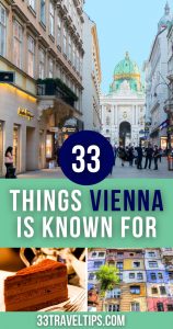 What is Vienna Known for pin 2